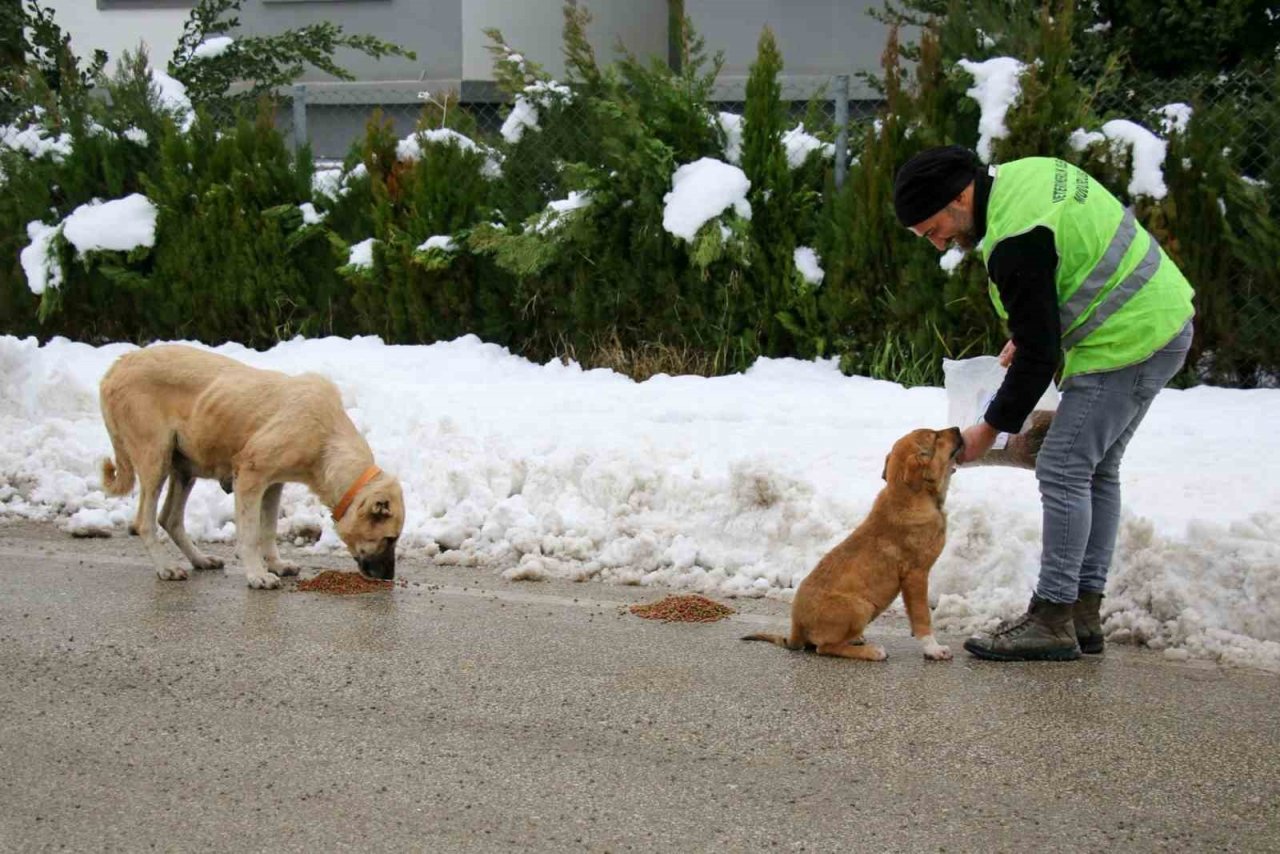Yalova Belediyesi karla mücadele çalışmalarını sürdürüyor