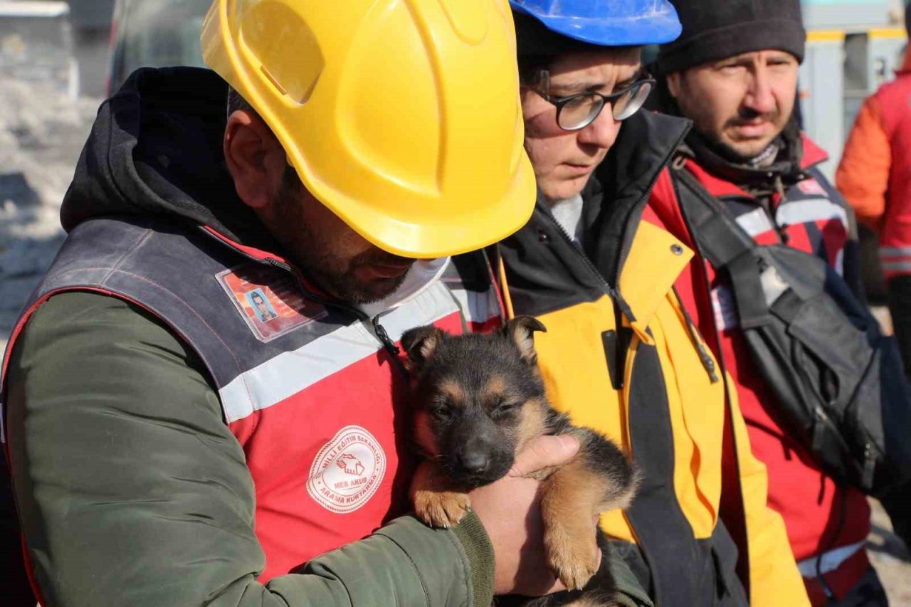 Ezan okunurken uluyan köpek ve yavruları, sesi fark eden görevlilerce enkazdan kurtarıldı