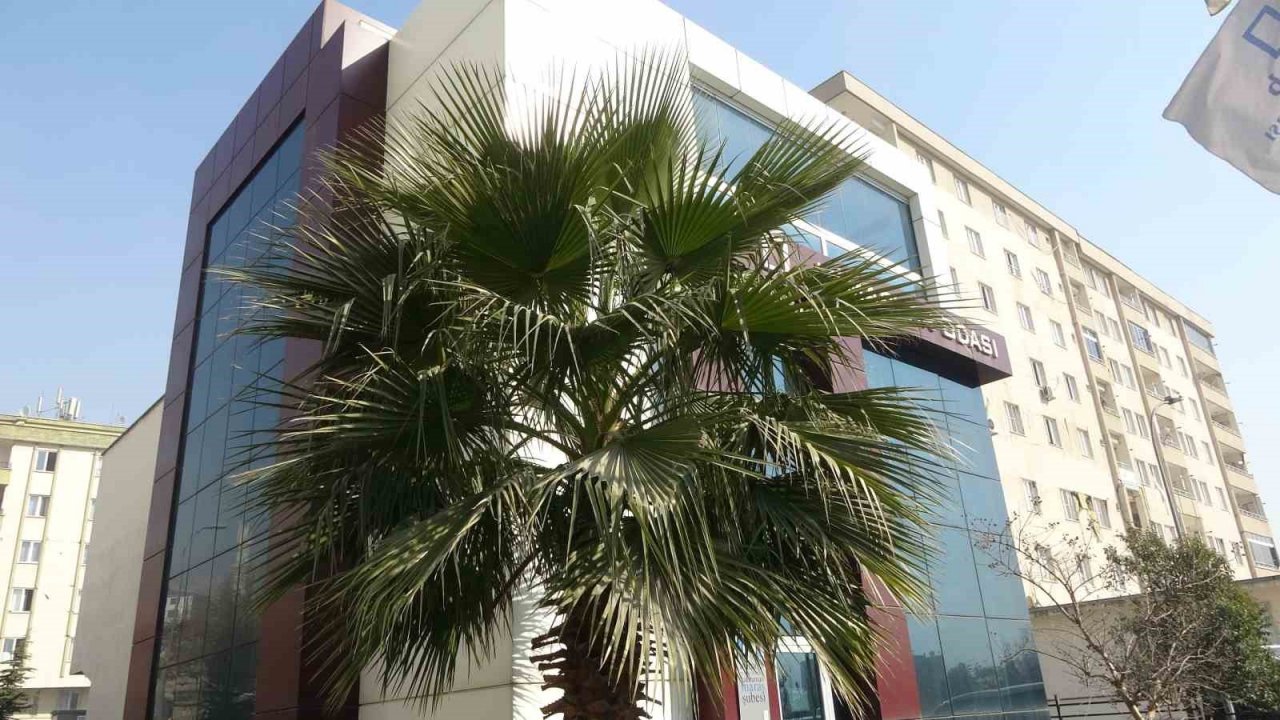 Büyük yıkım yaşanan Kahramanmaraş’ta bu binanın camları bile çatlamadı