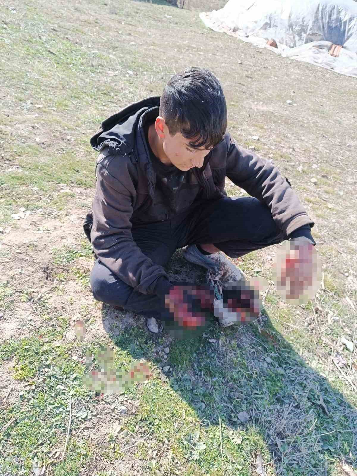 Diyarbakır’da patlama: 3 çocuk yaralı