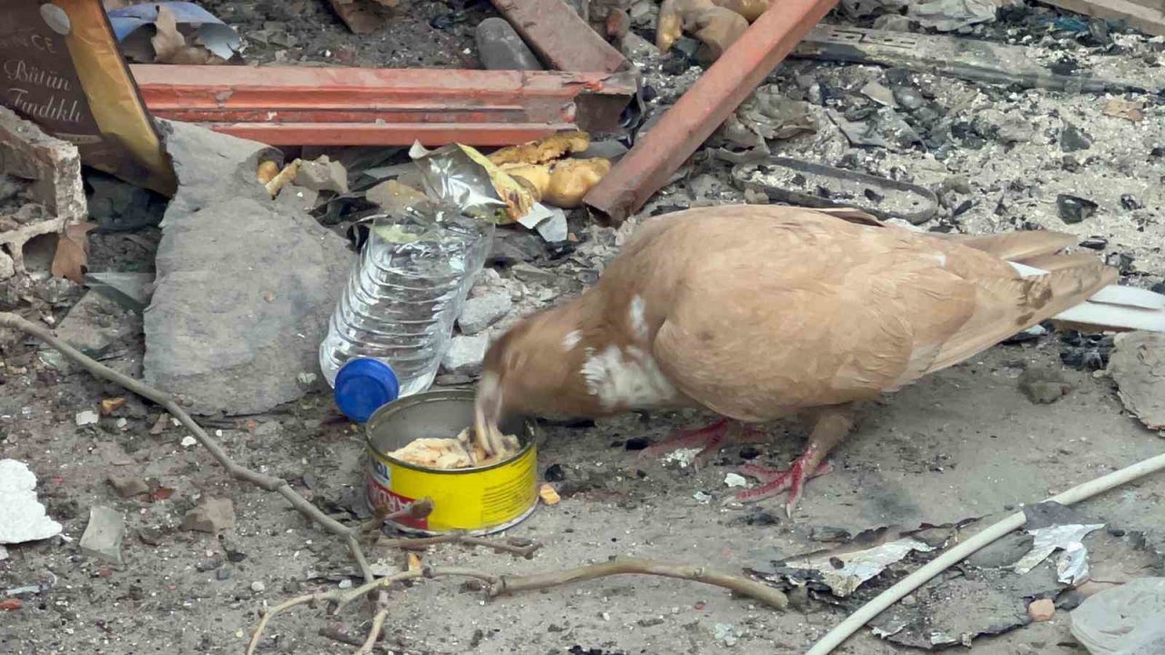 Deprem bölgesi Hatay’da Türk askerinin şefkati yürekleri ısıttı