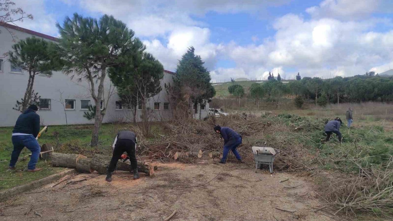 Öğretmen ve öğrencilerden hijyen malzemesi ve odun yardımı