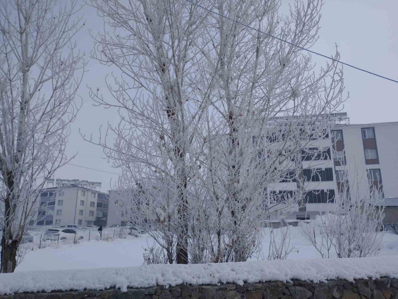 Varto’da hava sıcaklığı eksi 21 dereceye kadar düştü