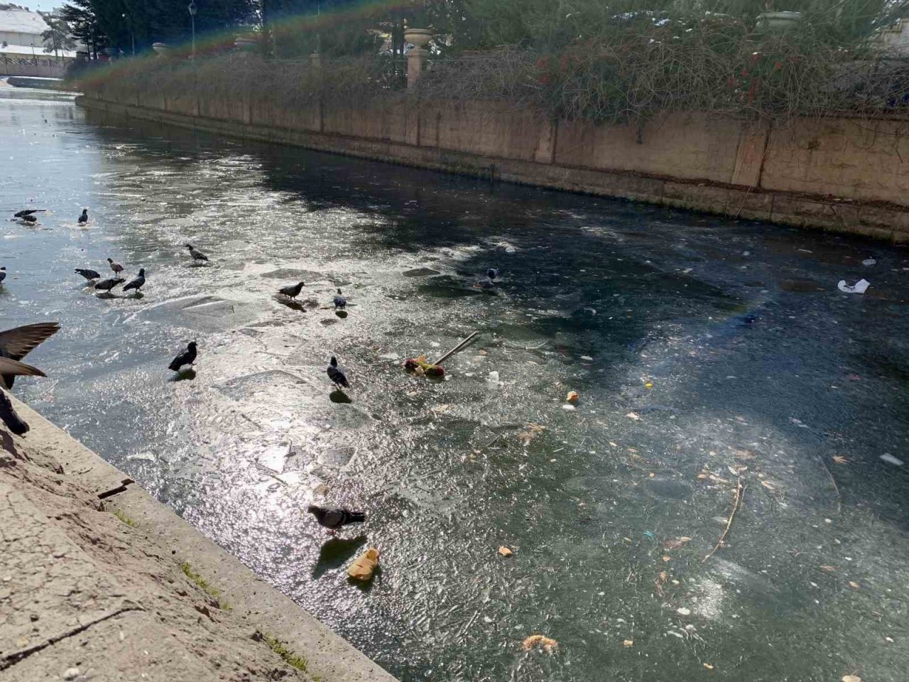 Yer yer donan porsuk çayı çöplüğe döndü