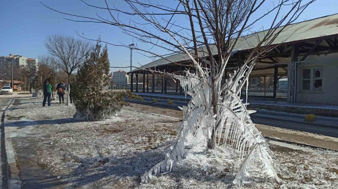 Donan ağaçlar kartpostallık görüntü oluşturdu