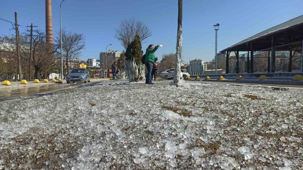 Donan ağaçlar kartpostallık görüntü oluşturdu