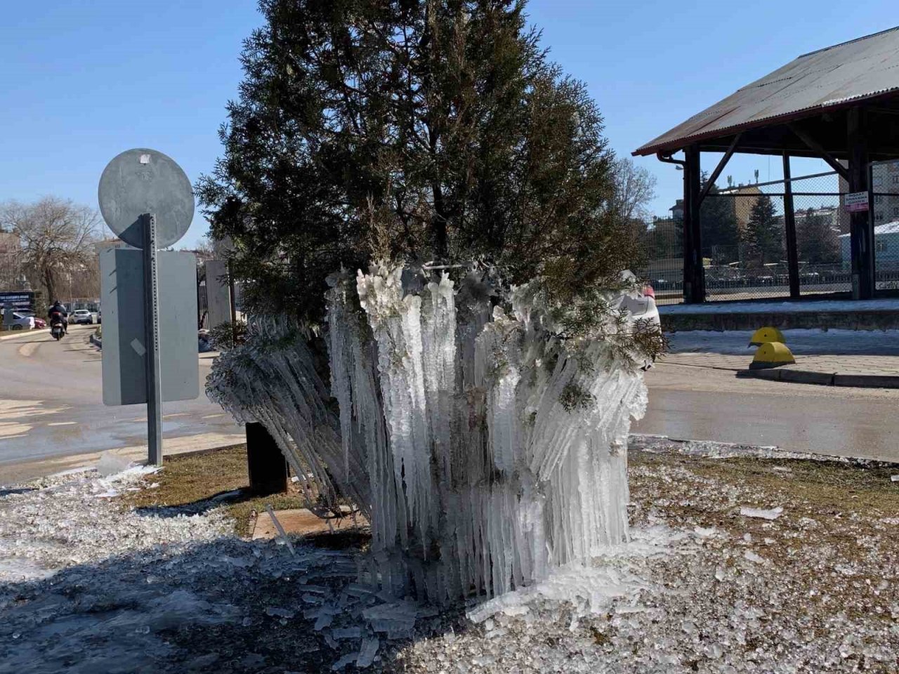 Donan ağaçlar kartpostallık görüntü oluşturdu