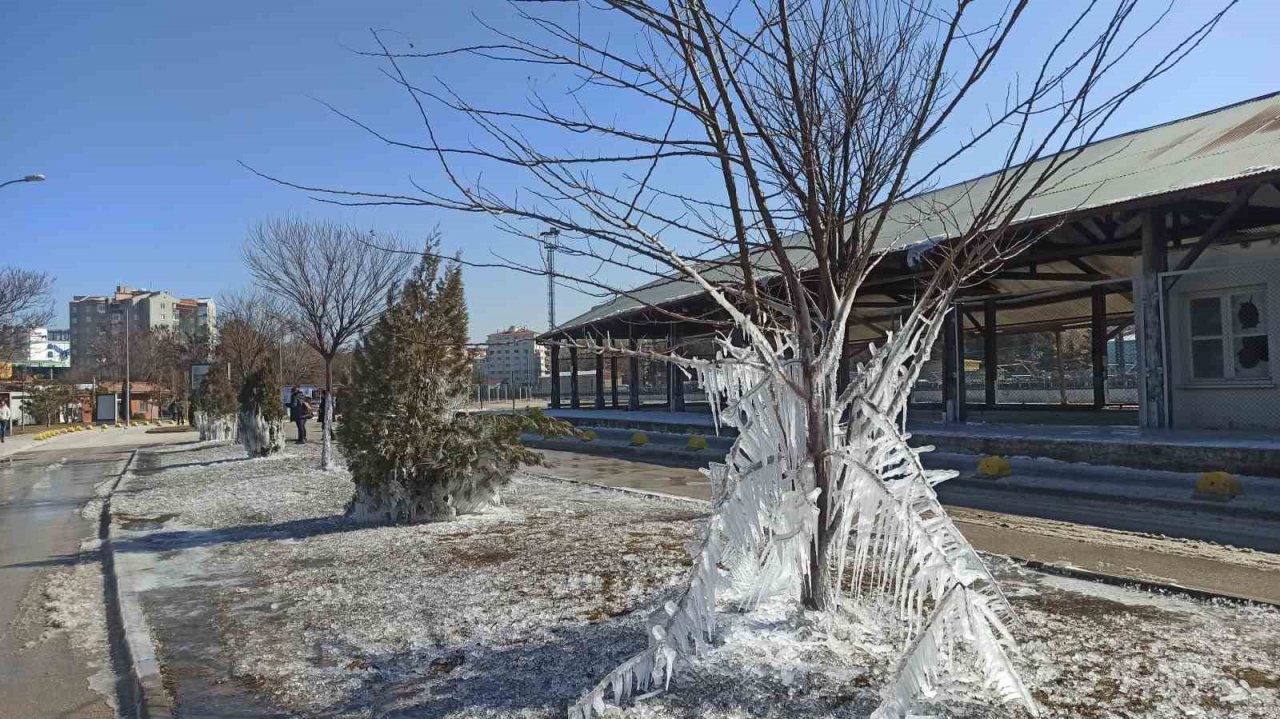 Donan ağaçlar kartpostallık görüntü oluşturdu