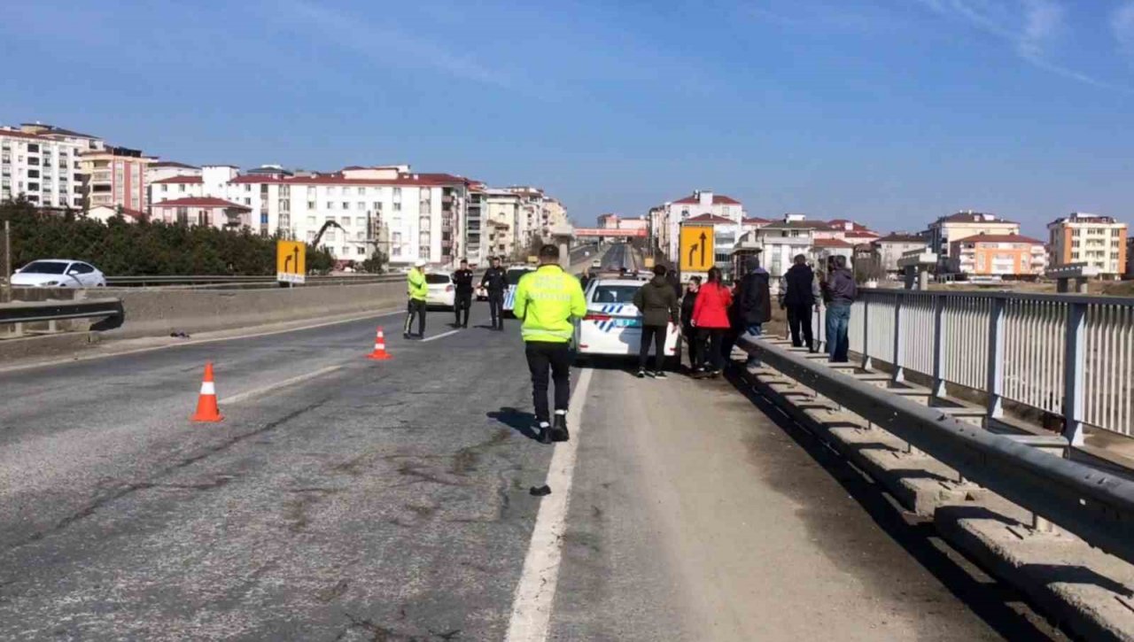 Yolun karşısına geçmek isterken canından oldu