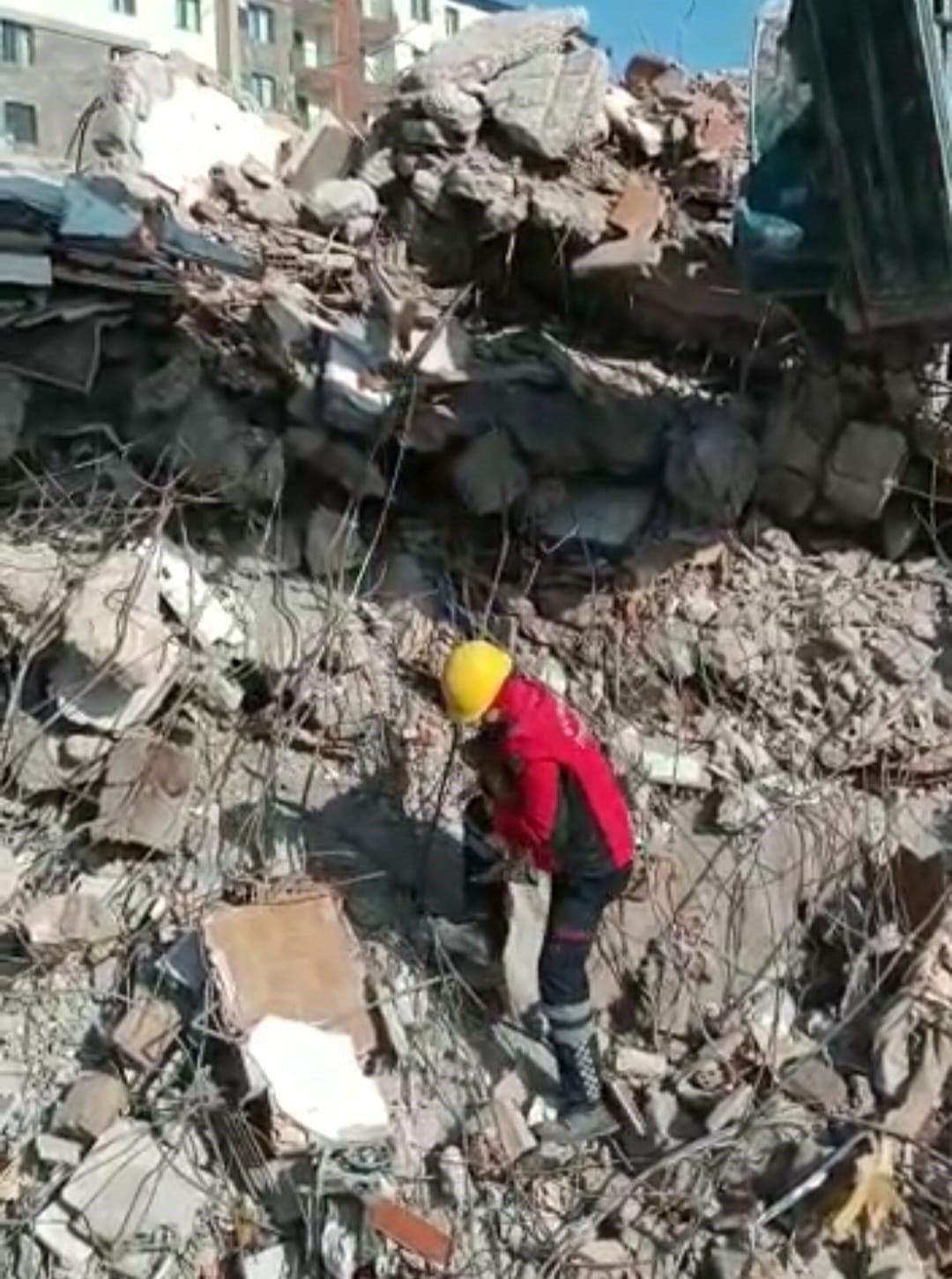 Enkaz altındaki kedi 10 gün sonra kurtarıldı