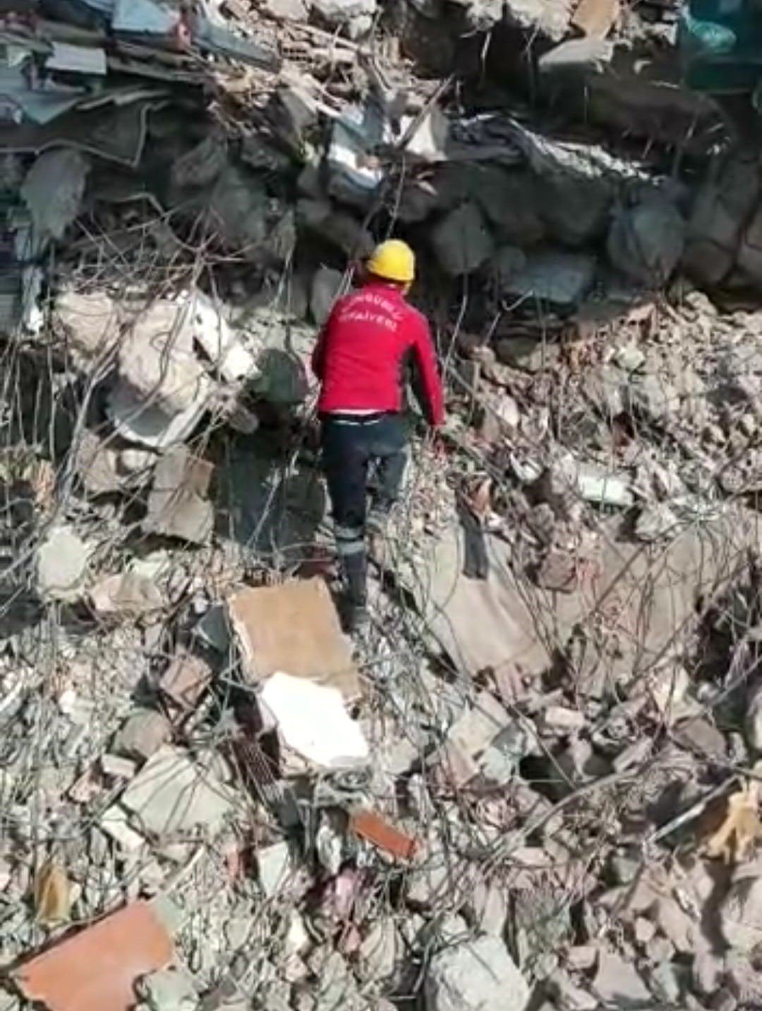 Enkaz altındaki kedi 10 gün sonra kurtarıldı