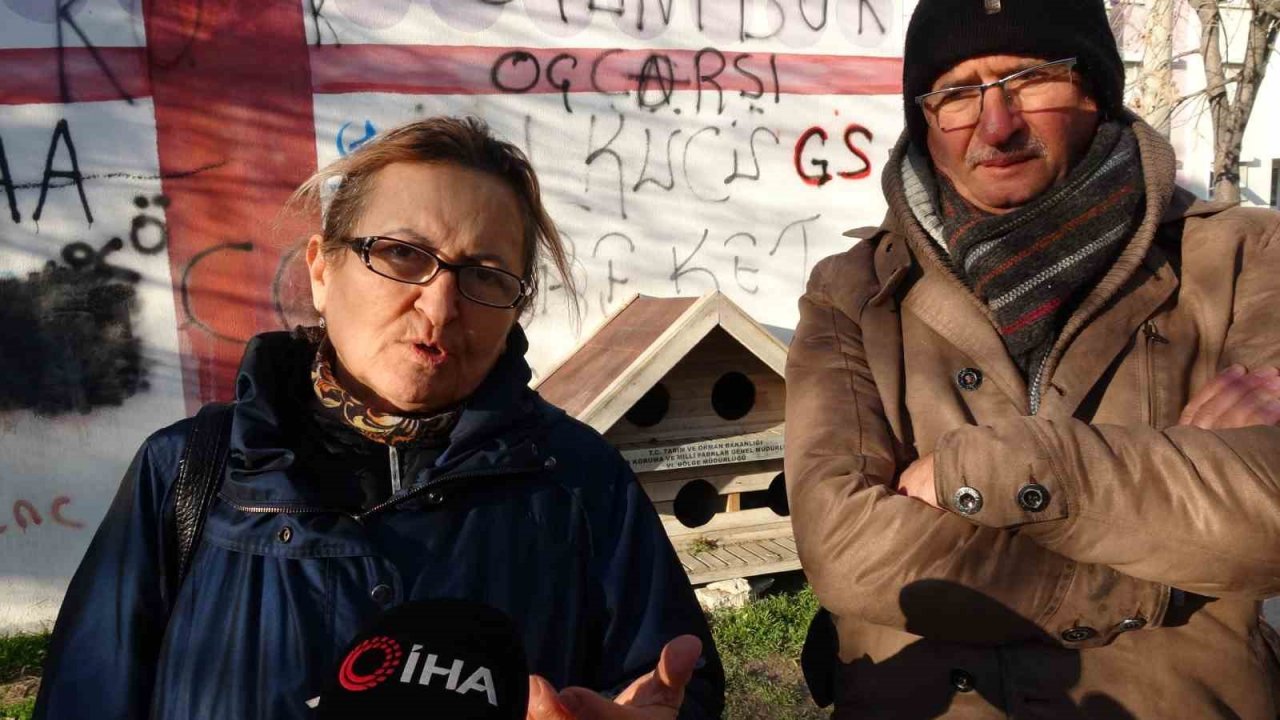 Kulübeleri kaldırılan sokak köpeklerini altlarına kilim serip yelek giydirerek soğuktan korudu