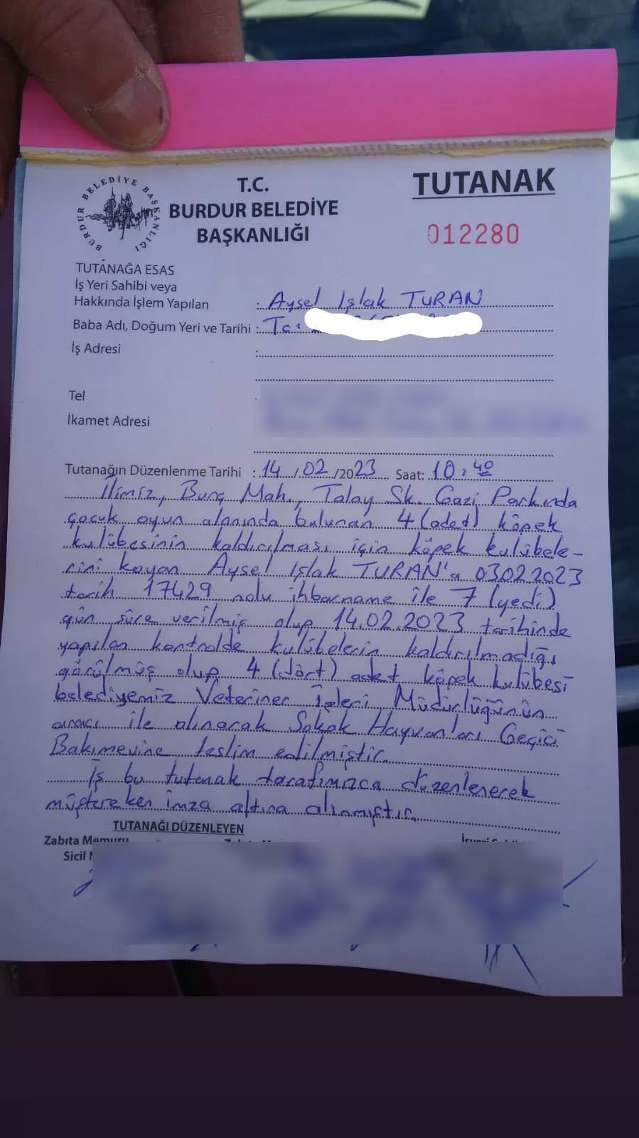 Kulübeleri kaldırılan sokak köpeklerini altlarına kilim serip yelek giydirerek soğuktan korudu