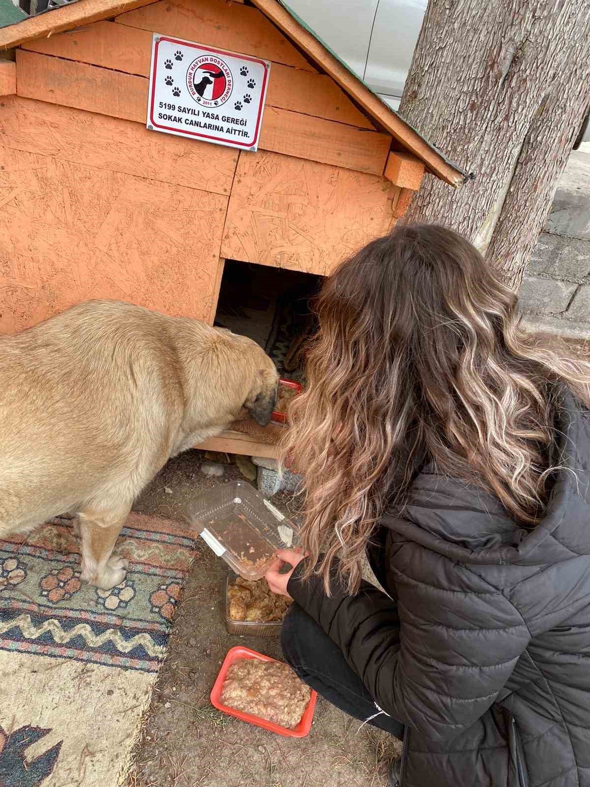 Kulübeleri kaldırılan sokak köpeklerini altlarına kilim serip yelek giydirerek soğuktan korudu