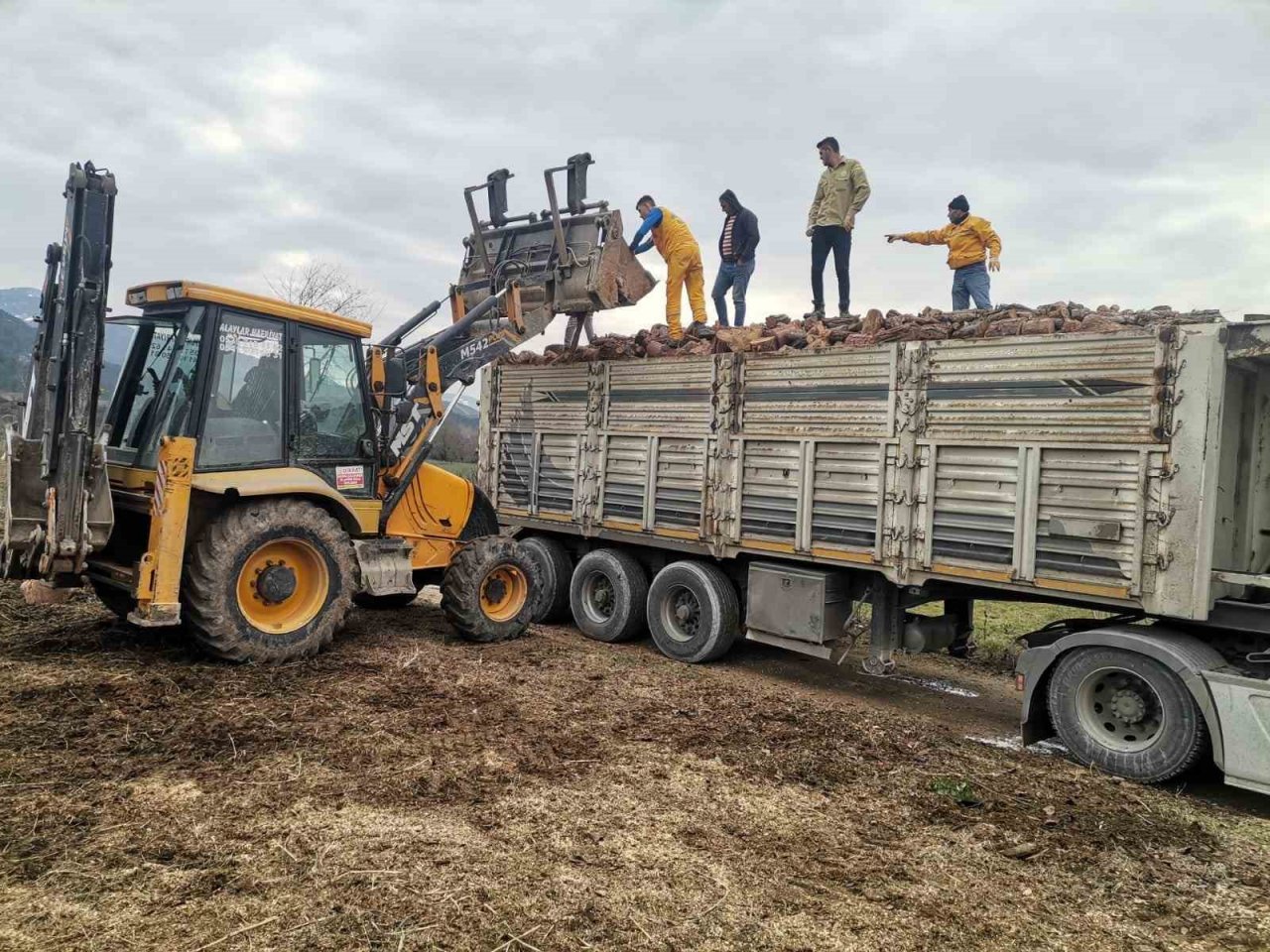 Depremzedelerin yakacak odun ihtiyacını karşılamak için hayırseverler seferber oldu