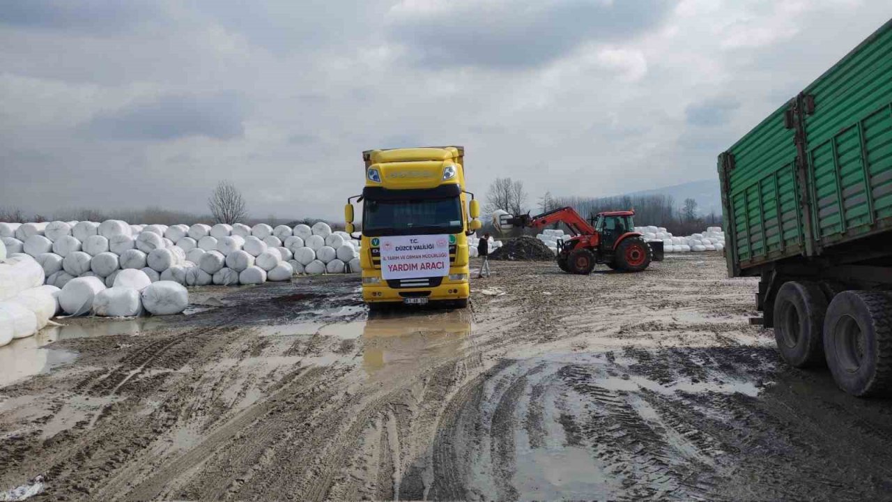 Depremzede çiftçilere Düzce’den destek