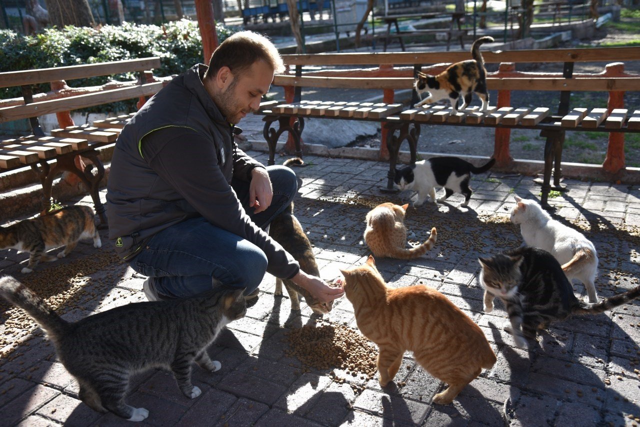 Asrın felaketinde sokak hayvanları unutulmadı