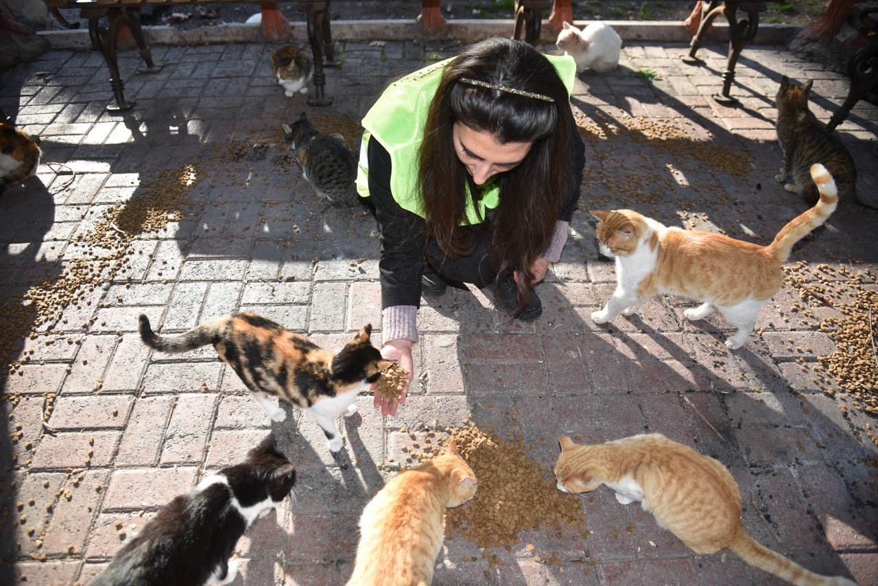 Asrın felaketinde sokak hayvanları unutulmadı