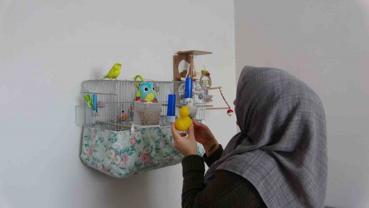 Enkaz altında çıkarılan kuş Van’da tedavi edildi