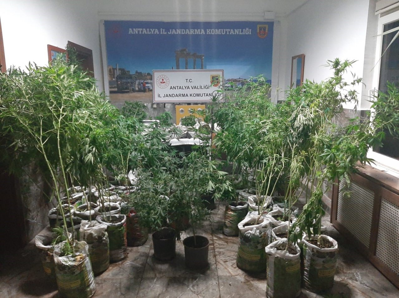 Antalya’da 27 kilogram esrar ele geçirildi