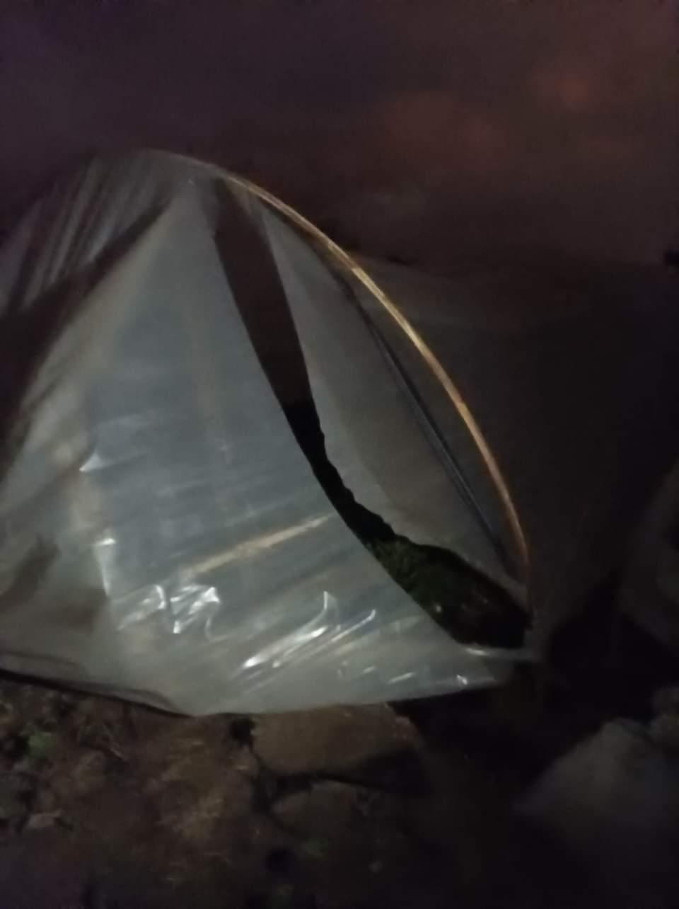 Çilek seralarına kimliği belirsiz kişi ya da kişilerce zarar verildi