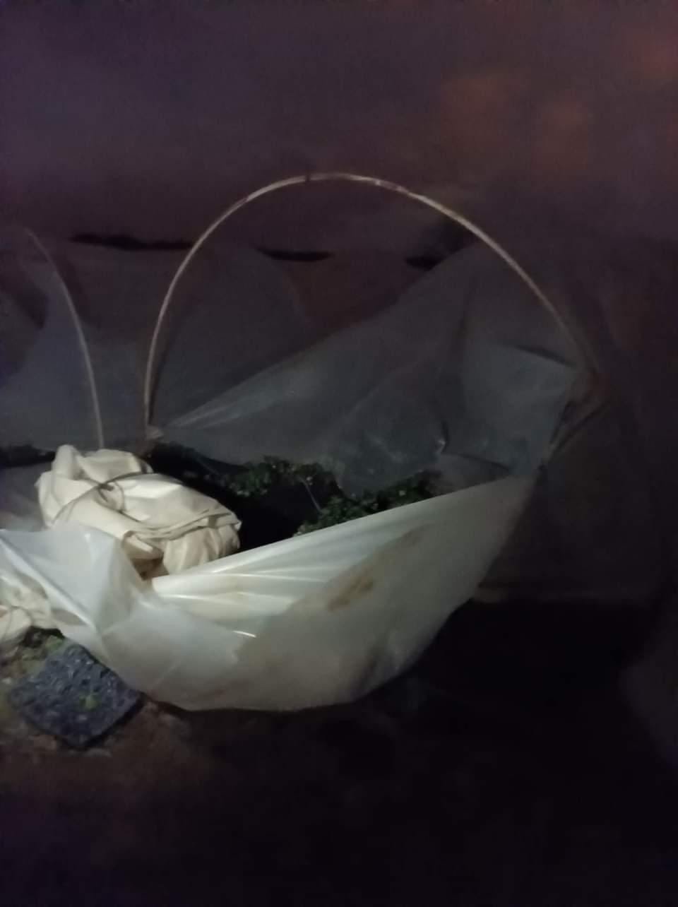 Çilek seralarına kimliği belirsiz kişi ya da kişilerce zarar verildi