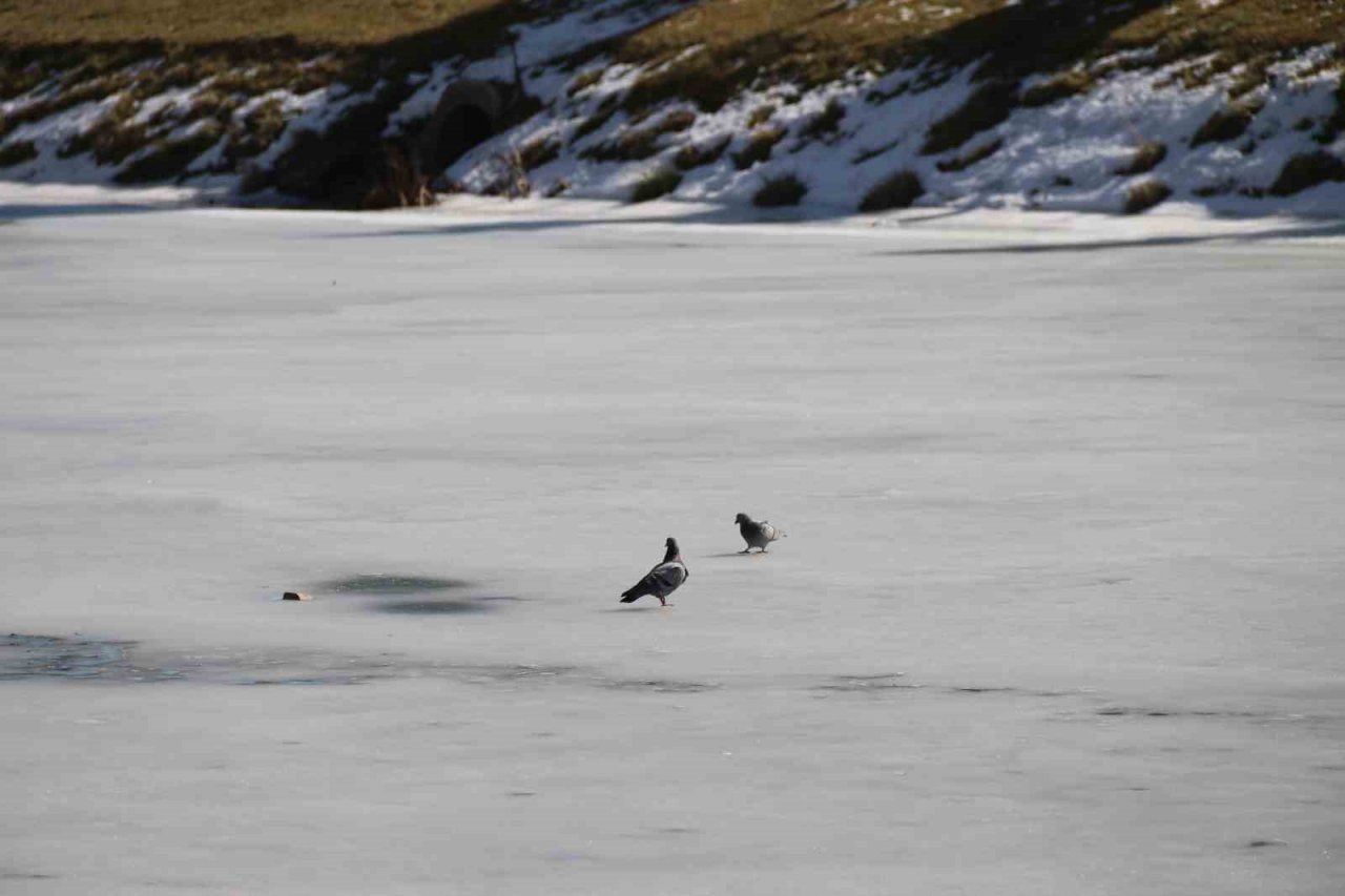 Porsuk Çayı’nın buzu 13 derecede bile çözülmedi