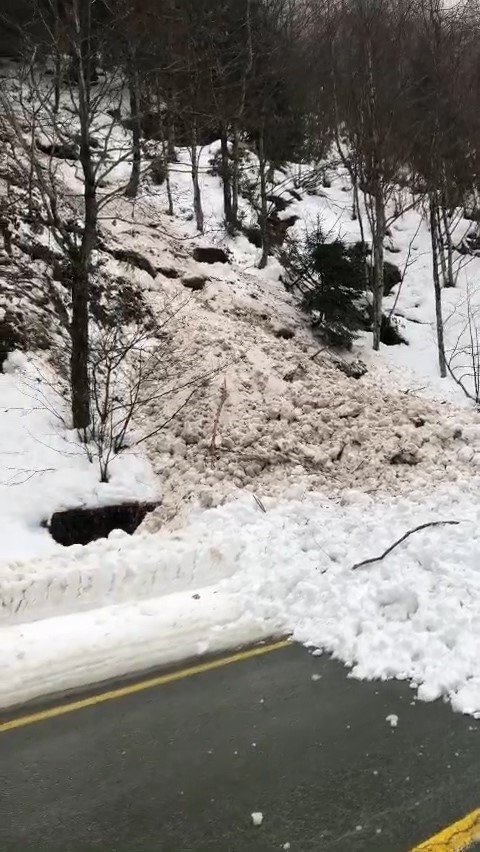 Ayder Yaylası yolunda çığ yolu ulaşıma kapattı