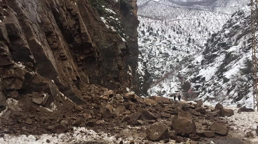 Artvin-Ardahan karayolunda bir heyelan daha