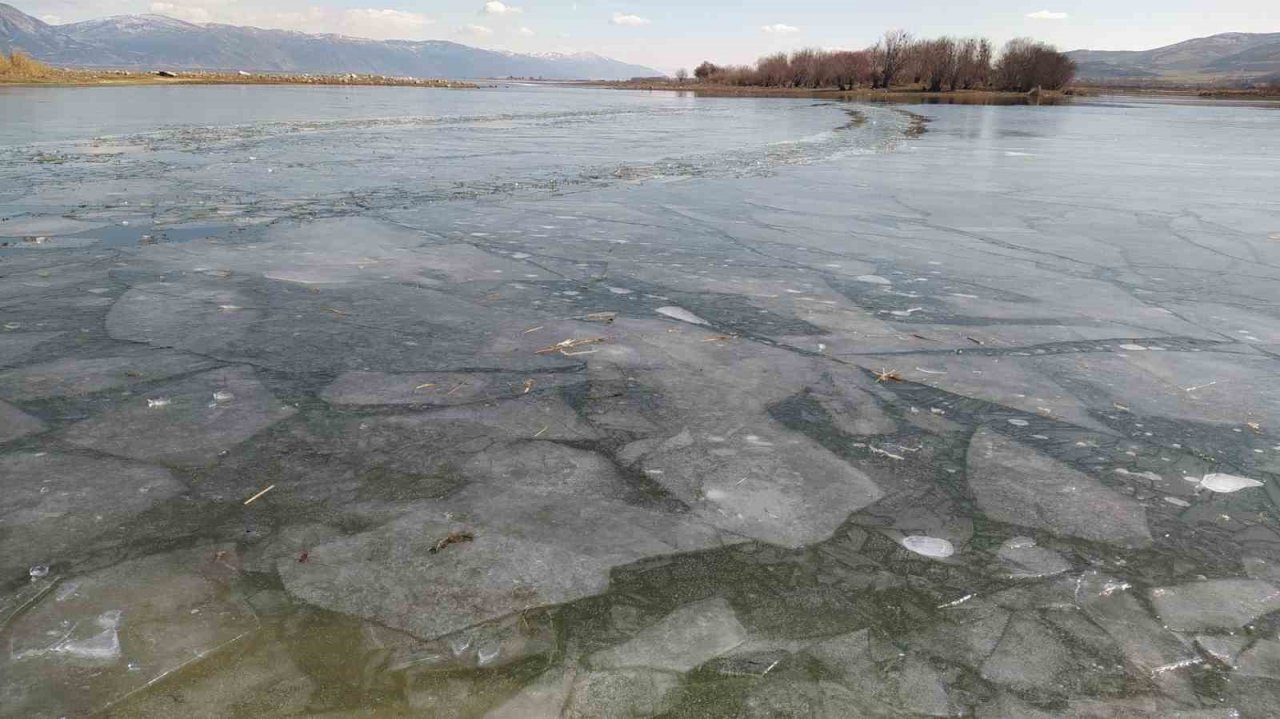 Nilüferleriyle meşhur Işıklı Gölü dondu