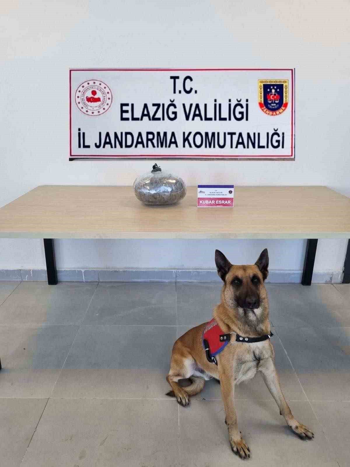 Elazığ’da 3,5 kilo uyuşturucu madde ele geçirildi, 2 kişi gözaltına alındı