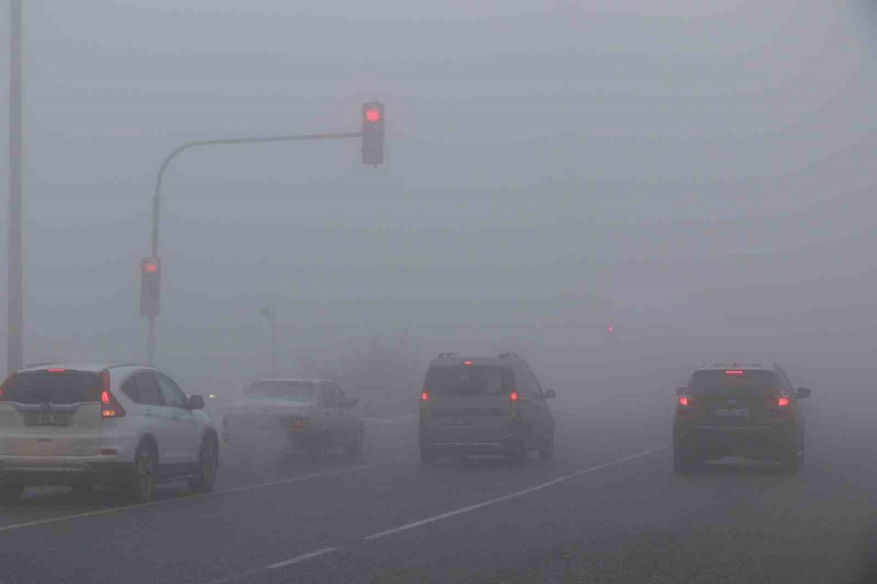 Erzincan’da sis, kar ve soğuk hava etkili oldu