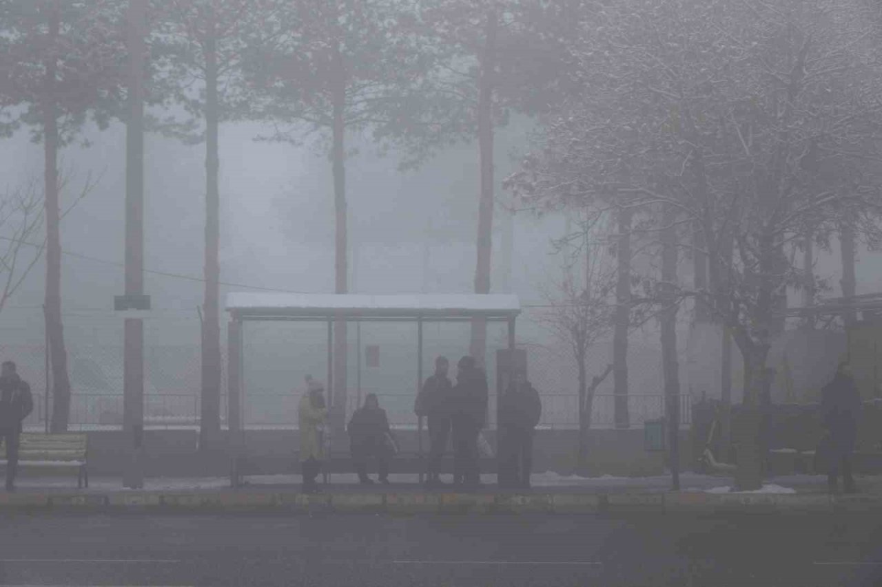 Erzincan’da sis, kar ve soğuk hava etkili oldu