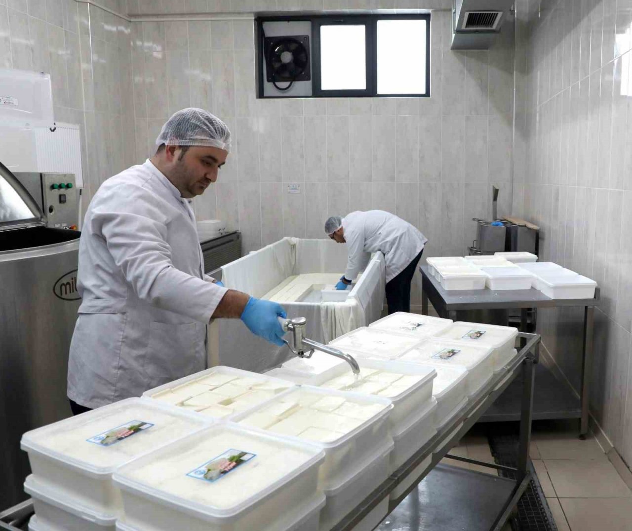 KAYÜ bağışçılardan temin ettiği sütü peynir yaparak depremzedelere gönderdi