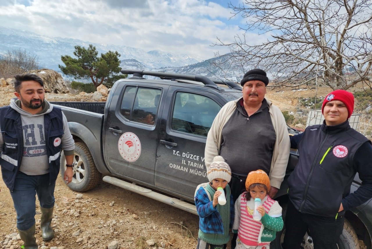 Deprem bölgelerinde hayvan hastalıkları ile mücadele sürüyor