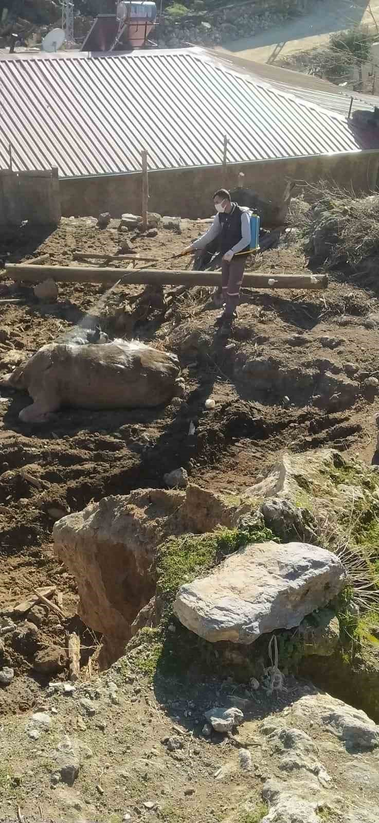 Salgın hastalık riskine karşı kent genelindeki ilaçlama çalışmalarını sürdürüyor