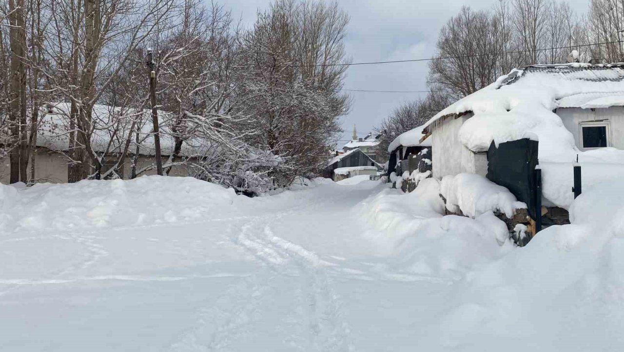 Karlıova’da kar yağışı etkili oldu, eğitime ara verildi