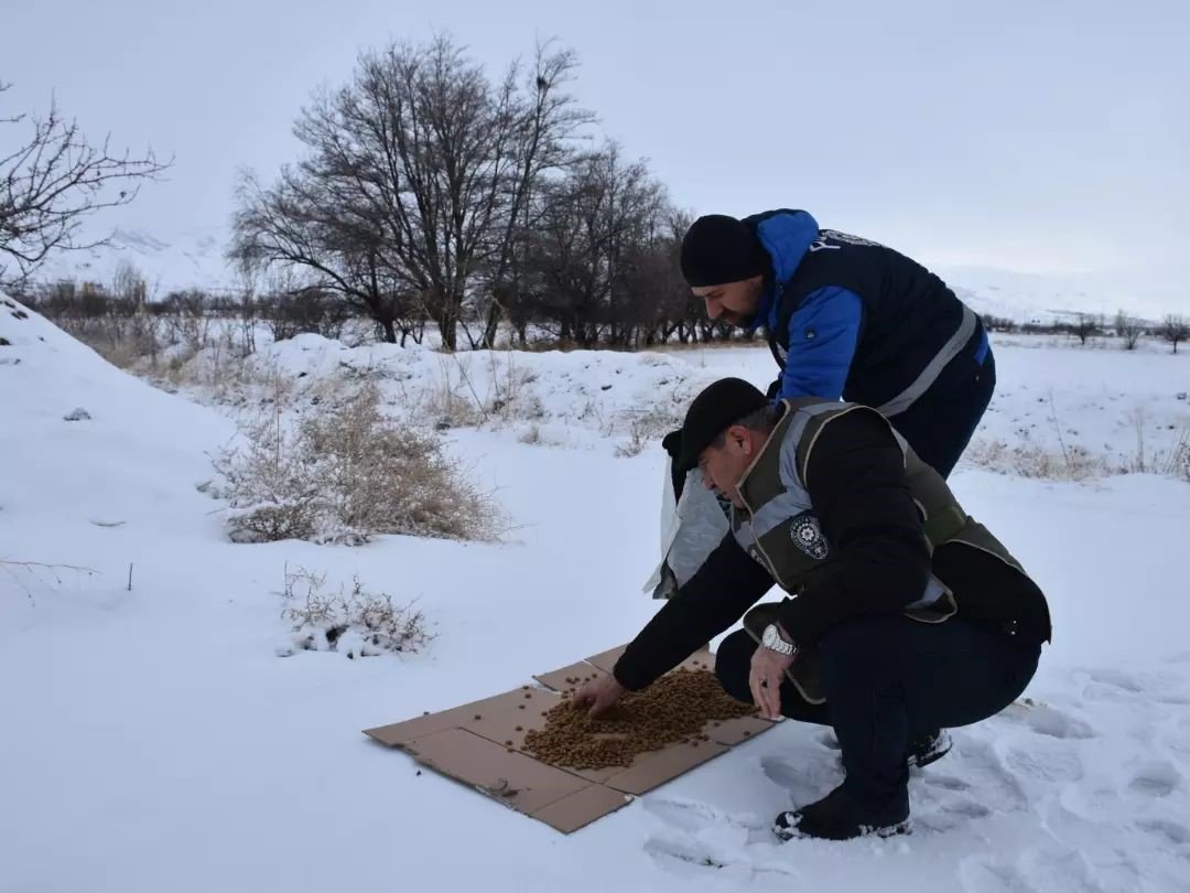 Erzincan’da ‘HAYDİ’ polisleri sokak hayvanlarını mamayla besledi