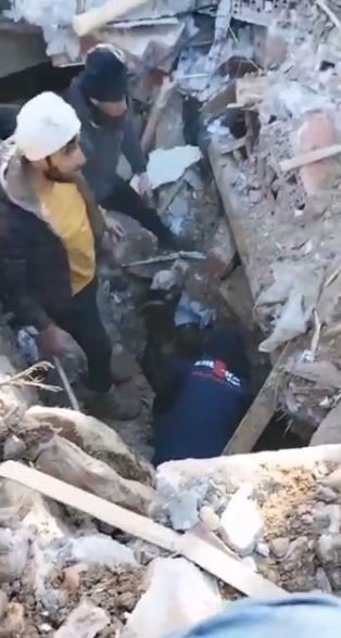 Enkaz altından çıkartılan 14 günlük buzağı koruma altına alındı