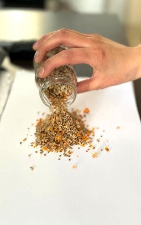 20 bin tohumu toprakla buluşuyor