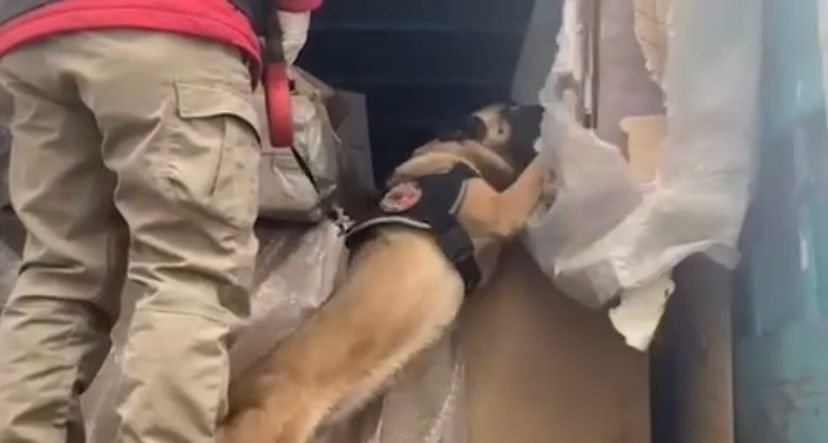 Sakarya’da 80 kilo uyuşturucu yakalandı: 2 gözaltı