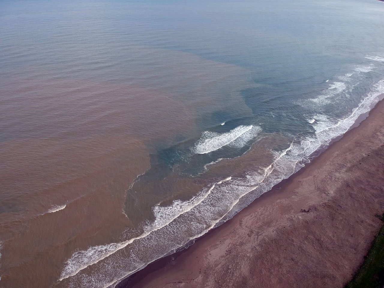 Karadeniz çamura büründü