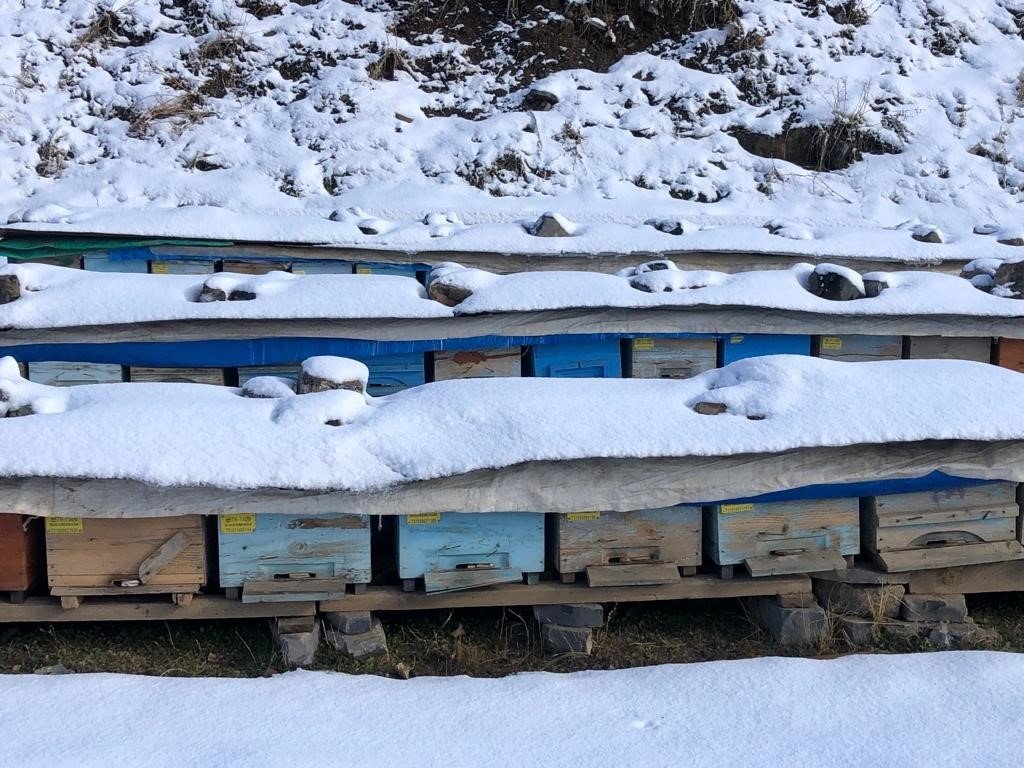 Şırnak’ta kar yağışıyla birlikte bal arıları yeni kış uykusuna yattı