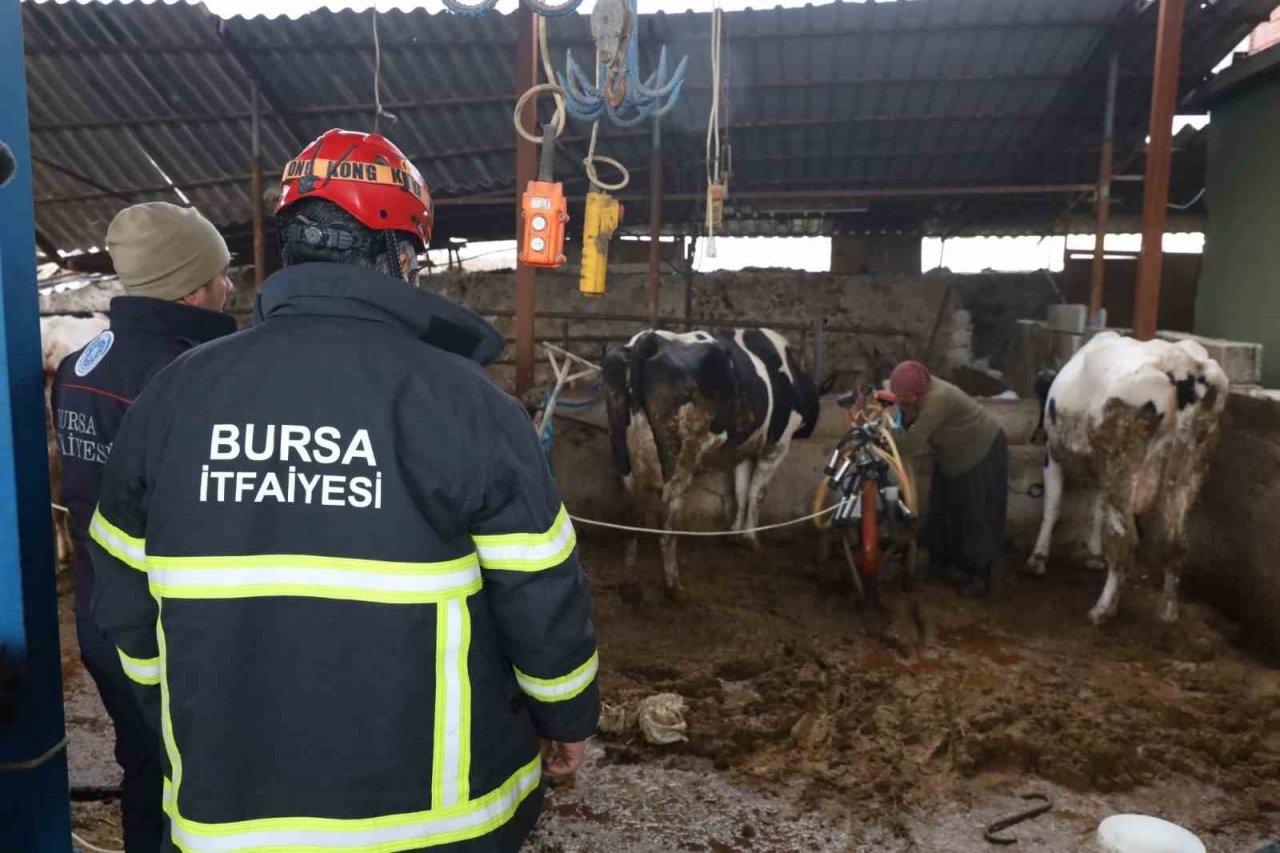 Bursa itfaiyesi gece yangında gündüz ahırda