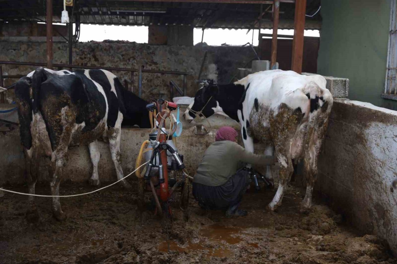Bursa itfaiyesi gece yangında gündüz ahırda
