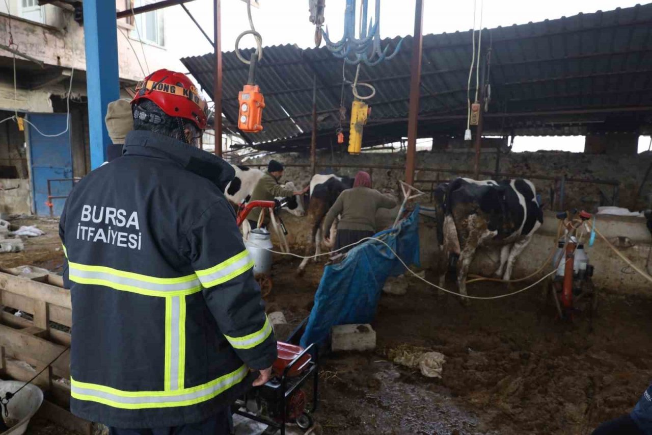 Bursa itfaiyesi gece yangında gündüz ahırda