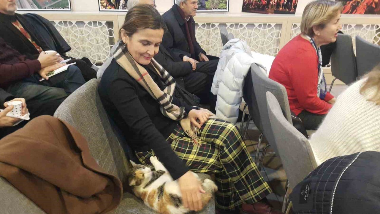 Soğukta üşüyen kedi sanat merkezine sığındı