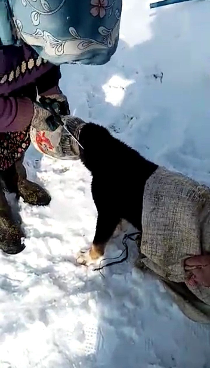 Kafası bidona sıkışan köpeği kadınlar kurtardı