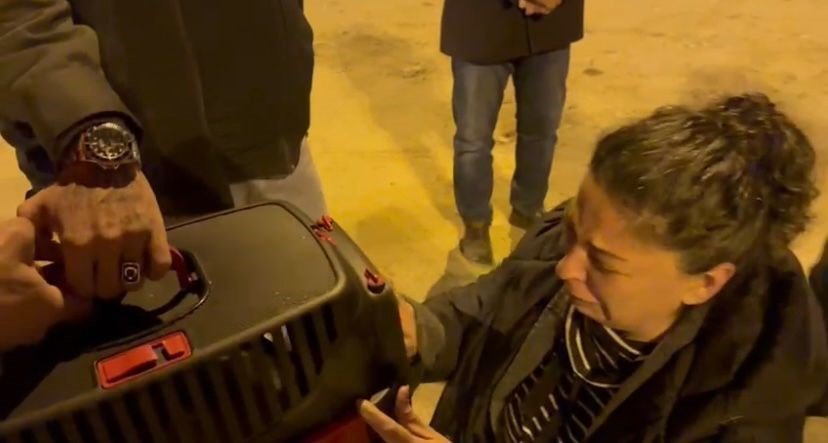 Diyarbakır’da 17 gündür enkazda olan 2 kedi kurtarıldı