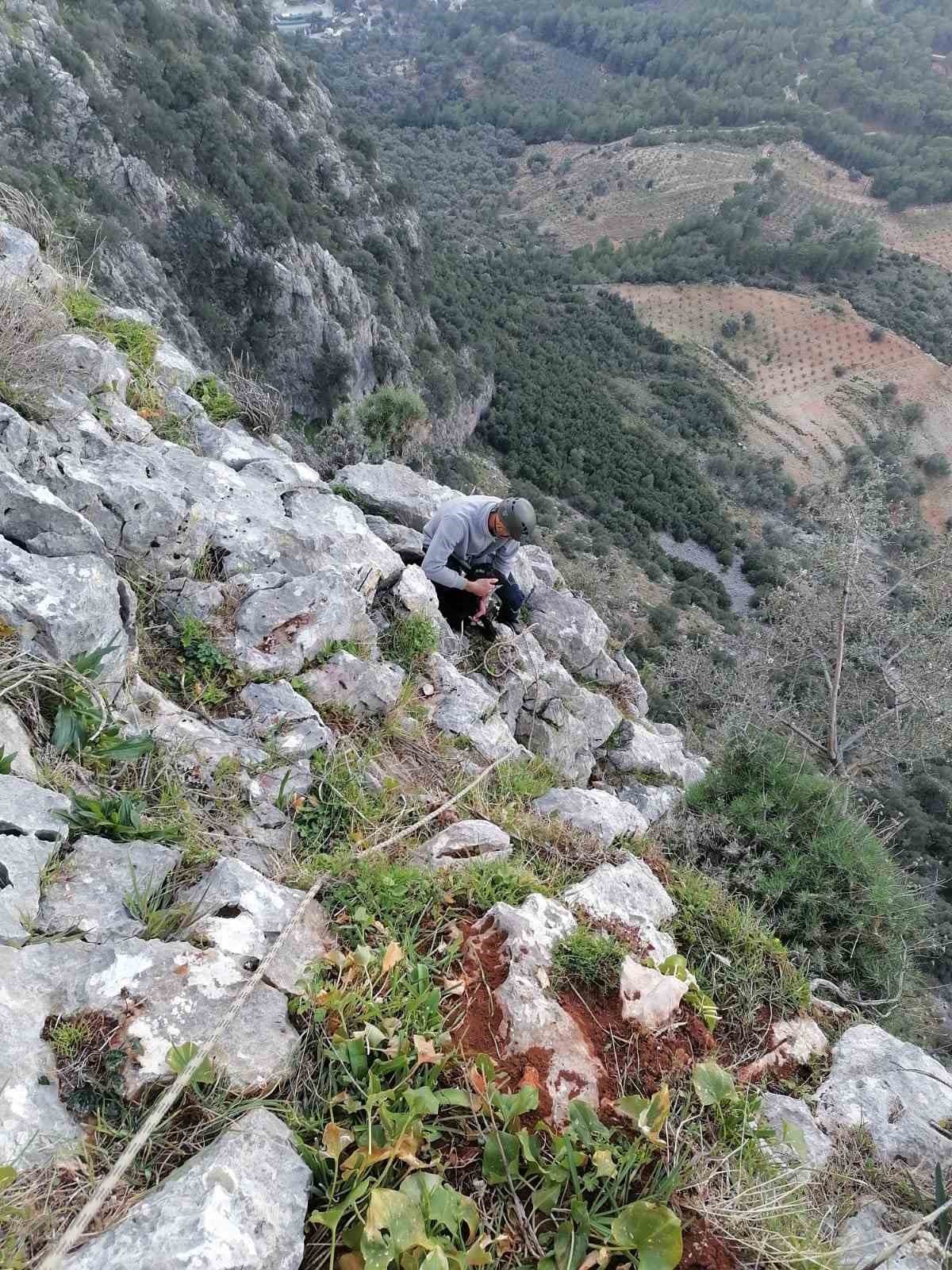 Kayalıkta mahsur kalan keçileri MAG AME ekibi kurtardı